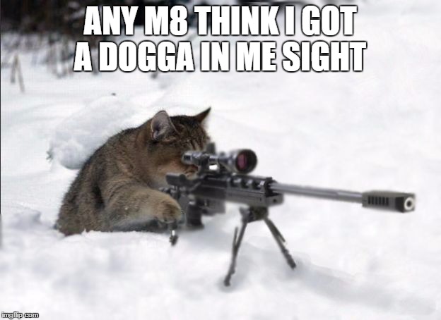 3:03PM Moscow,russia The assassination of Gabe  | ANY M8 THINK I GOT A DOGGA IN ME SIGHT | image tagged in sniper cat | made w/ Imgflip meme maker