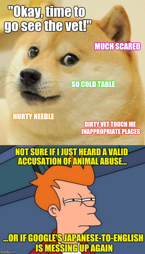Doge meets Futurama Fry | "Okay, time to go see the vet!"; MUCH SCARED; SO COLD TABLE; HURTY NEEDLE; DIRTY VET TOUCH ME INAPPROPRIATE PLACES; NOT SURE IF I JUST HEARD A VALID ACCUSATION OF ANIMAL ABUSE... ...OR IF GOOGLE'S JAPANESE-TO-ENGLISH IS MESSING UP AGAIN | image tagged in doge,futurama fry | made w/ Imgflip meme maker