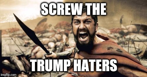 Sparta Leonidas Meme | SCREW THE TRUMP HATERS | image tagged in memes,sparta leonidas | made w/ Imgflip meme maker