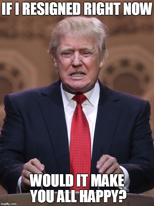 Trump resign | IF I RESIGNED RIGHT NOW; WOULD IT MAKE YOU ALL HAPPY? | image tagged in donald trump,resign,happy,if | made w/ Imgflip meme maker