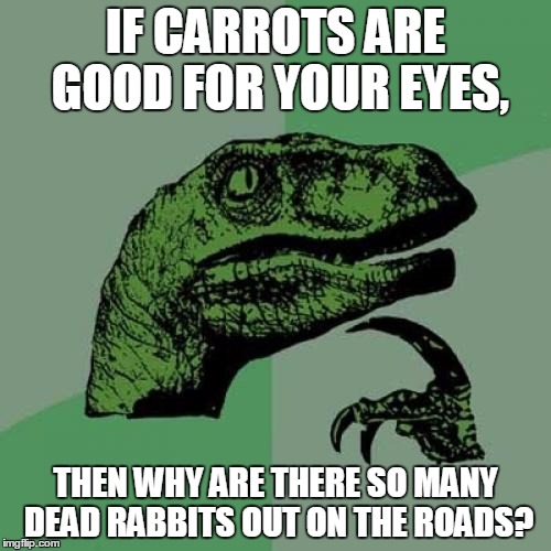 Philosoraptor | IF CARROTS ARE GOOD FOR YOUR EYES, THEN WHY ARE THERE SO MANY DEAD RABBITS OUT ON THE ROADS? | image tagged in memes,philosoraptor | made w/ Imgflip meme maker