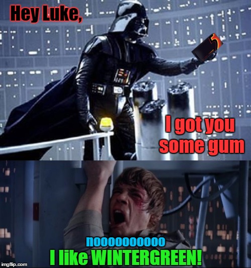 Hey Luke, I like WINTERGREEN! I got you some gum noooooooooo | made w/ Imgflip meme maker