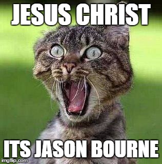 Shocked Cat | JESUS CHRIST; ITS JASON BOURNE | image tagged in shocked cat | made w/ Imgflip meme maker