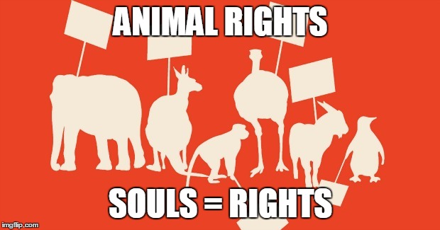 Animal Rights | ANIMAL RIGHTS; SOULS = RIGHTS | image tagged in animal rights | made w/ Imgflip meme maker