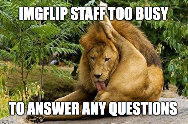 its all run by robots you know | IMGFLIP STAFF TOO BUSY; TO ANSWER ANY QUESTIONS | image tagged in busy,imgflip,comments,questions | made w/ Imgflip meme maker