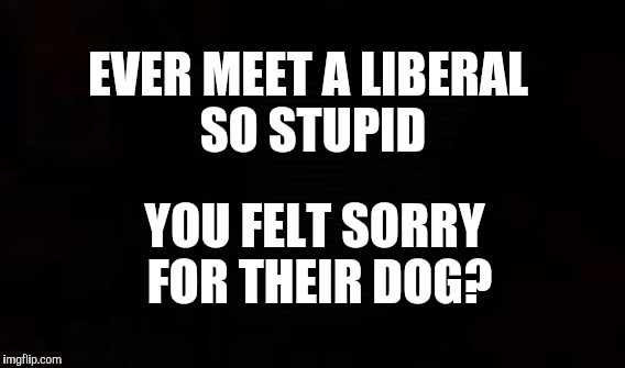 THE SPCA & PETA NEED OUR HELP | EVER MEET A LIBERAL SO STUPID; YOU FELT SORRY FOR THEIR DOG? | image tagged in animals,funny,memes,gifs,cnn | made w/ Imgflip meme maker