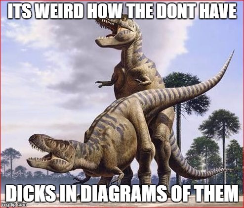 horny t rex | ITS WEIRD HOW THE DONT HAVE; DICKS IN DIAGRAMS OF THEM | image tagged in horny t rex | made w/ Imgflip meme maker