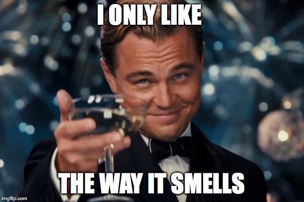 Leonardo Dicaprio Cheers Meme | I ONLY LIKE THE WAY IT SMELLS | image tagged in memes,leonardo dicaprio cheers | made w/ Imgflip meme maker