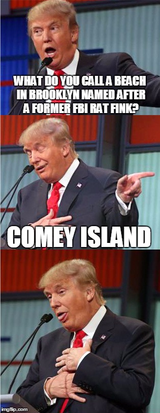 Bad Pun Trump | WHAT DO YOU CALL A BEACH IN BROOKLYN NAMED AFTER A FORMER FBI RAT FINK? COMEY ISLAND | image tagged in bad pun trump | made w/ Imgflip meme maker