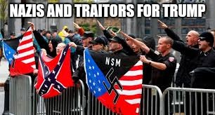 NAZIS AND TRAITORS FOR TRUMP | image tagged in nazis and traitors | made w/ Imgflip meme maker