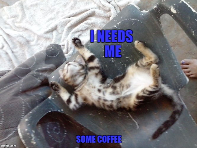 I NEEDS ME; SOME COFFEE | image tagged in vickiwhy | made w/ Imgflip meme maker