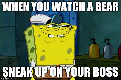 Don't You Squidward | WHEN YOU WATCH A BEAR; SNEAK UP ON YOUR BOSS | image tagged in memes,dont you squidward | made w/ Imgflip meme maker