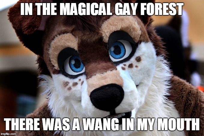Austin the Furry | IN THE MAGICAL GAY FOREST; THERE WAS A WANG IN MY MOUTH | image tagged in austin the furry | made w/ Imgflip meme maker