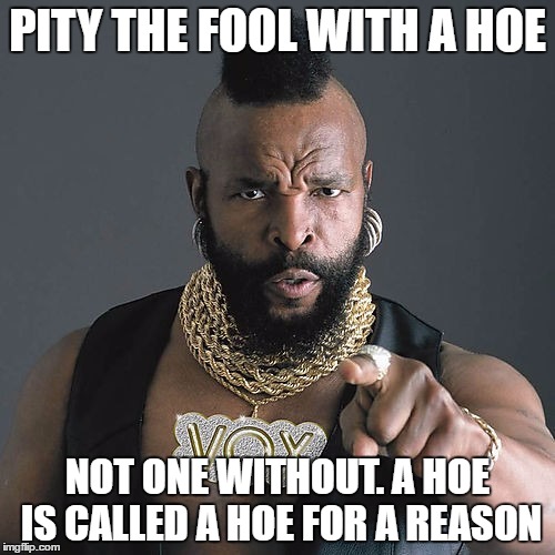 Mr T Pity The Fool | PITY THE FOOL WITH A HOE; NOT ONE WITHOUT. A HOE IS CALLED A HOE FOR A REASON | image tagged in memes,mr t pity the fool | made w/ Imgflip meme maker