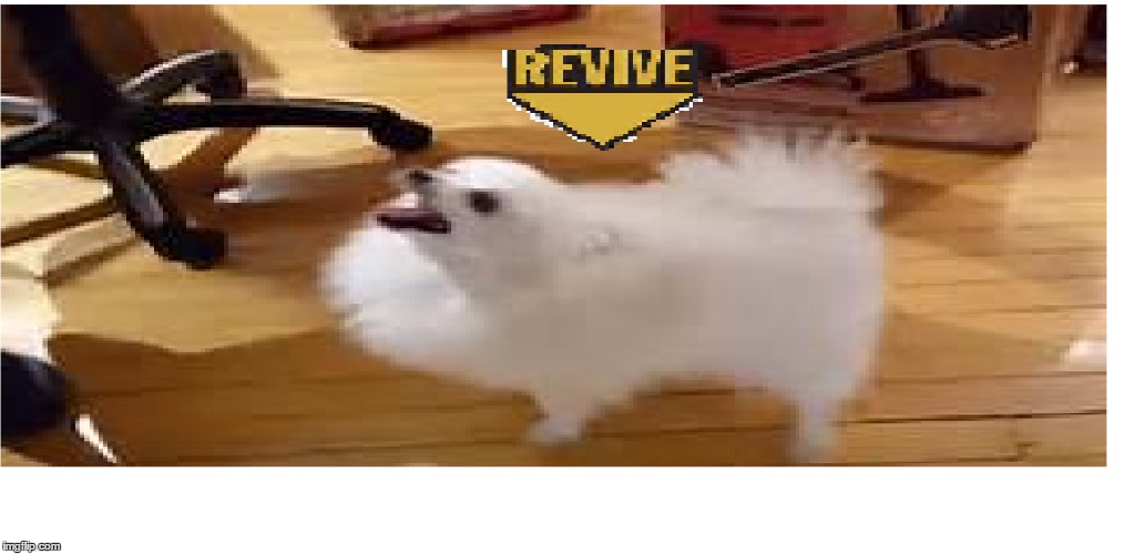 revive Gabe | image tagged in gabe the dog | made w/ Imgflip meme maker