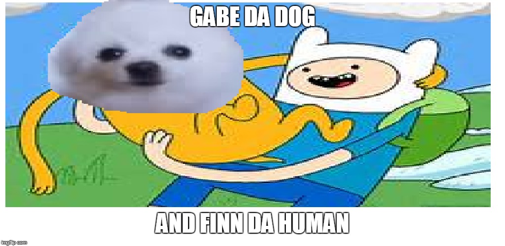 gabe da dog snd finn da human | GABE DA DOG; AND FINN DA HUMAN | image tagged in gabe the dog,adventure time,memes | made w/ Imgflip meme maker