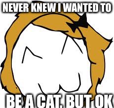 Derpina |  NEVER KNEW I WANTED TO; BE A CAT, BUT OK | image tagged in memes,derpina | made w/ Imgflip meme maker