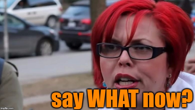 say WHAT now? | made w/ Imgflip meme maker