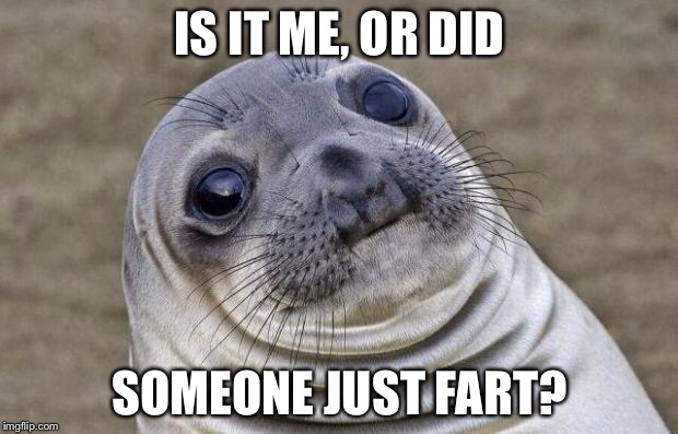 Awkward Moment Sealion Meme |  IS IT ME, OR DID; SOMEONE JUST FART? | image tagged in memes,awkward moment sealion | made w/ Imgflip meme maker