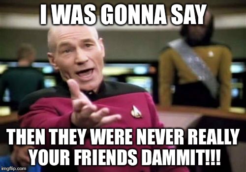 Picard Wtf Meme | I WAS GONNA SAY THEN THEY WERE NEVER REALLY YOUR FRIENDS DAMMIT!!! | image tagged in memes,picard wtf | made w/ Imgflip meme maker