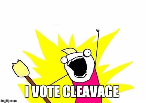 X All The Y Meme | I VOTE CLEAVAGE | image tagged in memes,x all the y | made w/ Imgflip meme maker