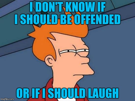 Futurama Fry | I DON'T KNOW IF I SHOULD BE OFFENDED; OR IF I SHOULD LAUGH | image tagged in memes,futurama fry | made w/ Imgflip meme maker