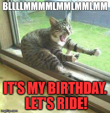 Motorcycle cat | BLLLLMMMMLMMLMMLMM; IT'S MY BIRTHDAY. LET'S RIDE! | image tagged in motorcycle cat | made w/ Imgflip meme maker