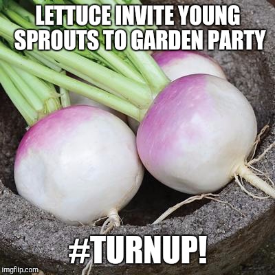 Punny Gardener tries Youths Slang. Kavajione, this one is for you :) | LETTUCE INVITE YOUNG SPROUTS TO GARDEN PARTY; #TURNUP! | image tagged in puns,funny memes,gardening,gardener,turn it up,party | made w/ Imgflip meme maker