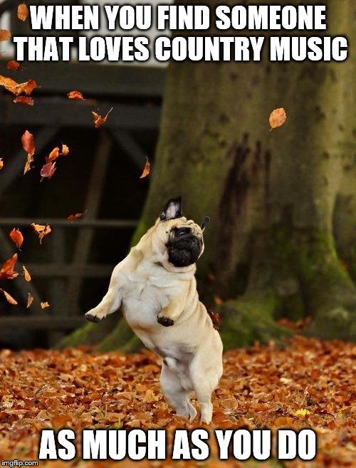Fall Pug | WHEN YOU FIND SOMEONE THAT LOVES COUNTRY MUSIC; AS MUCH AS YOU DO | image tagged in fall pug | made w/ Imgflip meme maker