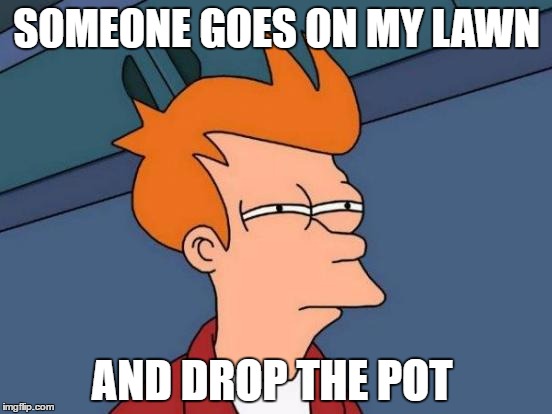Futurama Fry Meme | SOMEONE GOES ON MY LAWN; AND DROP THE POT | image tagged in memes,futurama fry | made w/ Imgflip meme maker
