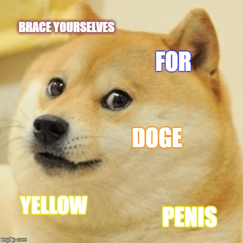 Doge Meme | BRACE YOURSELVES; FOR; DOGE; YELLOW; PENIS | image tagged in memes,doge | made w/ Imgflip meme maker