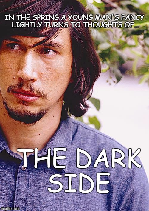 a young man's fancy | IN THE SPRING A YOUNG MAN'S FANCY LIGHTLY TURNS TO THOUGHTS OF... THE DARK SIDE | image tagged in adam driver,kylo ren,spring,locksley hall,bad luck brian | made w/ Imgflip meme maker
