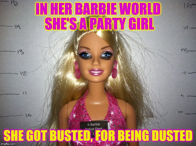 Those are the lyrics, right? | IN HER BARBIE WORLD SHE'S A PARTY GIRL; SHE GOT BUSTED, FOR BEING DUSTED | image tagged in barbie week,memes,wasted,arrested | made w/ Imgflip meme maker