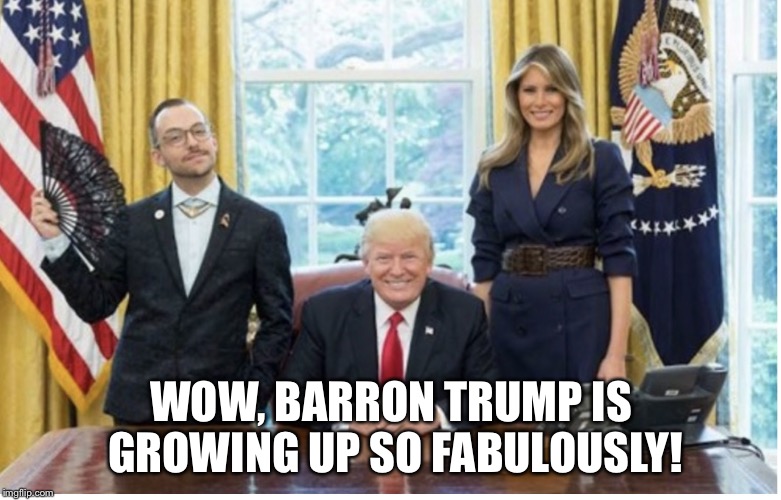 Barron Trump is fabulous  | WOW, BARRON TRUMP IS GROWING UP SO FABULOUSLY! | image tagged in donald trump,barron trump,melania trump | made w/ Imgflip meme maker