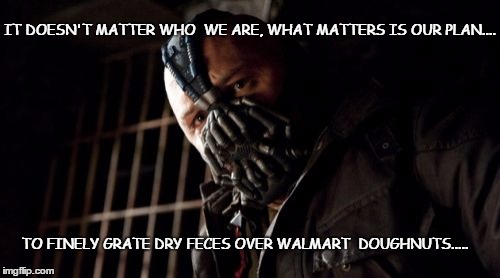 Permission Bane | IT DOESN'T MATTER WHO 
WE ARE, WHAT MATTERS IS OUR PLAN.... TO FINELY GRATE DRY FECES OVER WALMART  DOUGHNUTS..... | image tagged in memes,permission bane | made w/ Imgflip meme maker