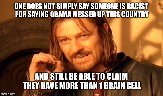 One Does Not Simply Meme | ONE DOES NOT SIMPLY SAY SOMEONE IS RACIST FOR SAYING OBAMA MESSED UP THIS COUNTRY; AND STILL BE ABLE TO CLAIM THEY HAVE MORE THAN 1 BRAIN CELL | image tagged in memes,one does not simply | made w/ Imgflip meme maker