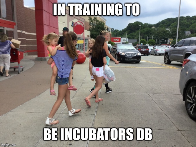 IN TRAINING TO; BE INCUBATORS DB | image tagged in reproduction incubator natalism | made w/ Imgflip meme maker