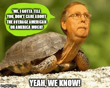 real mitch mcconnell | "ME, I GOTTA TELL YOU, DON'T CARE ABOUT THE AVERAGE AMERICAN OR AMERICA MUCH! YEAH, WE KNOW! | image tagged in real mitch mcconnell,mitch mcconnell,mitch the tortoise,scumbag republicans,mitch mcconnell loser,mcconnell slime reptile | made w/ Imgflip meme maker