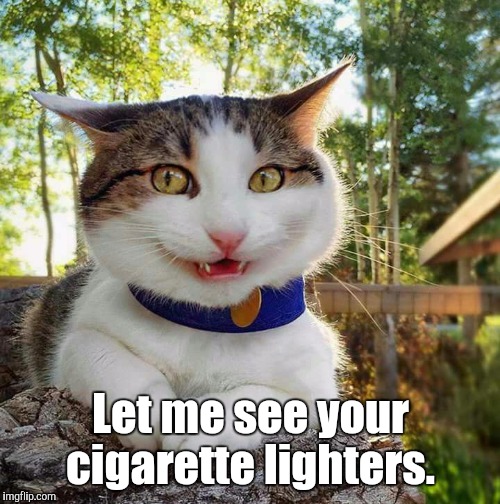 Smiling Cat | Let me see your cigarette lighters. | image tagged in smiling cat | made w/ Imgflip meme maker