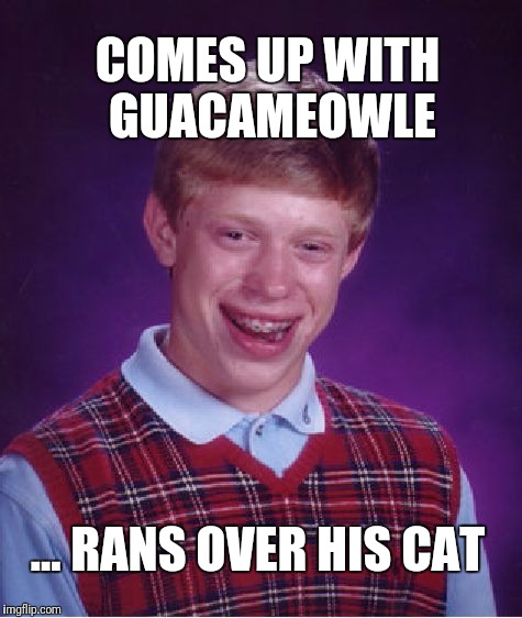 Bad Luck Brian Meme | COMES UP WITH GUACAMEOWLE ... RANS OVER HIS CAT | image tagged in memes,bad luck brian | made w/ Imgflip meme maker