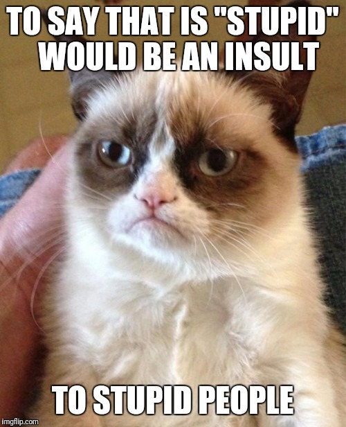 Angry Cat | TO SAY THAT IS "STUPID" 
WOULD BE AN INSULT; TO STUPID PEOPLE | image tagged in angry cat | made w/ Imgflip meme maker