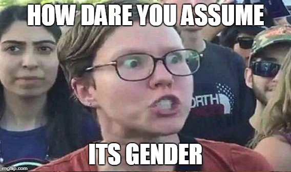 HOW DARE YOU ASSUME ITS GENDER | made w/ Imgflip meme maker