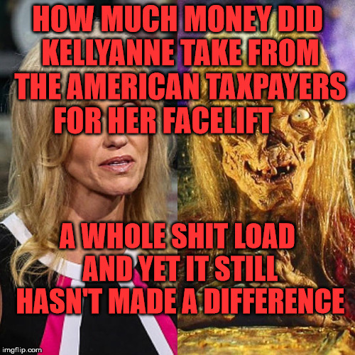 conway-cryptkeeper | HOW MUCH MONEY DID KELLYANNE TAKE FROM THE AMERICAN TAXPAYERS FOR HER FACELIFT; A WHOLE SHIT LOAD AND YET IT STILL HASN'T MADE A DIFFERENCE | image tagged in conway-cryptkeeper | made w/ Imgflip meme maker