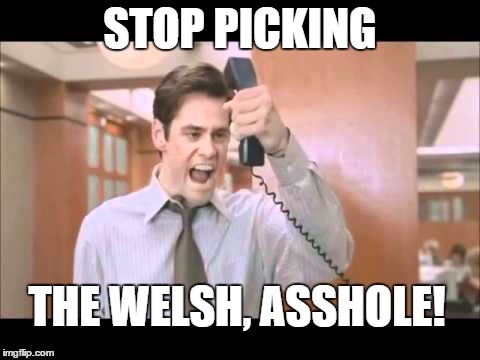 Stop breaking the law | STOP PICKING; THE WELSH, ASSHOLE! | image tagged in stop breaking the law | made w/ Imgflip meme maker