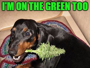I'M ON THE GREEN TOO | made w/ Imgflip meme maker