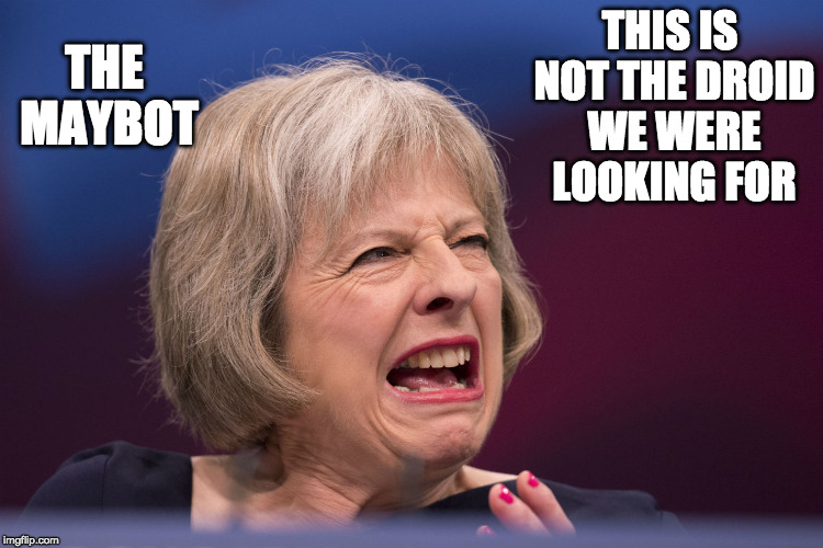 Theresa May Crying #Mayhem | THIS IS NOT THE DROID WE WERE LOOKING FOR; THE MAYBOT | image tagged in theresa may crying mayhem | made w/ Imgflip meme maker