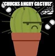 Prickly pear | *CHUCKS ANGRY CACTUS!* | image tagged in angry,cactus | made w/ Imgflip meme maker