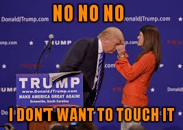 NO NO NO I DON'T WANT TO TOUCH IT | made w/ Imgflip meme maker