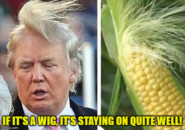 IF IT'S A WIG, IT'S STAYING ON QUITE WELL! | made w/ Imgflip meme maker