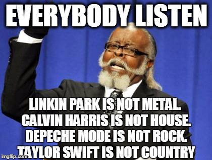 DO YOU UNDERSTAND ME? | EVERYBODY LISTEN; LINKIN PARK IS NOT METAL. CALVIN HARRIS IS NOT HOUSE. DEPECHE MODE IS NOT ROCK. TAYLOR SWIFT IS NOT COUNTRY | image tagged in memes,too damn high,genre,music,funny | made w/ Imgflip meme maker